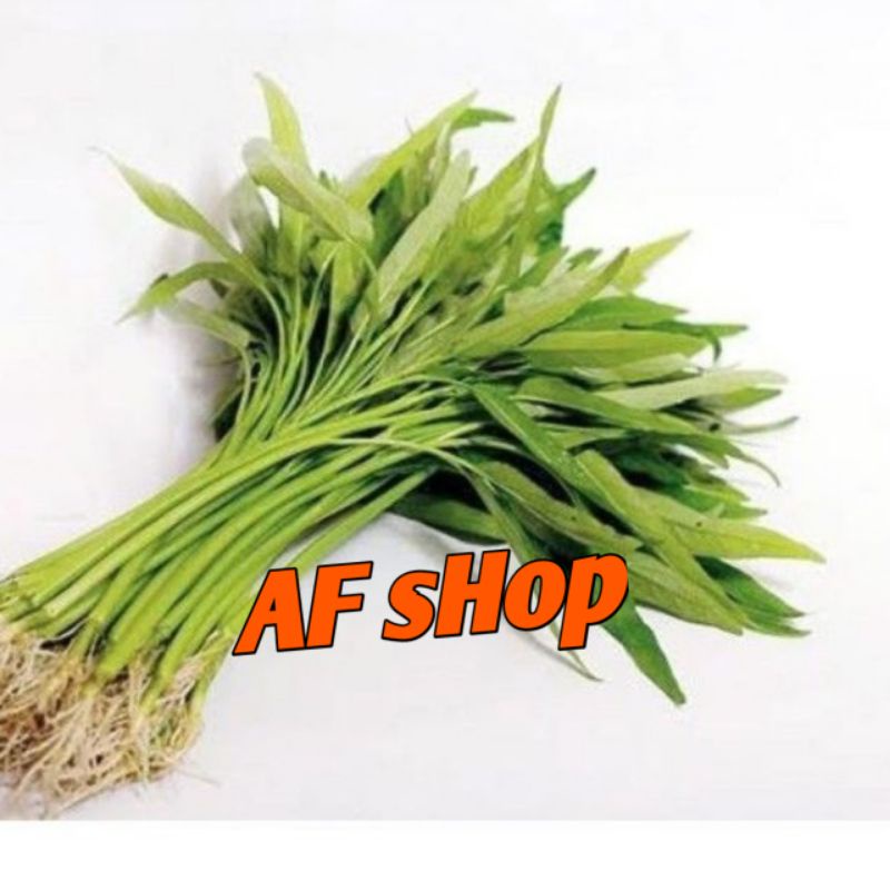 

Kangkung Segar 2 Ikat/500 Gram