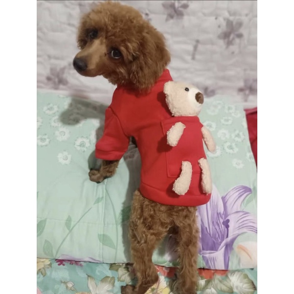 Red &amp; Yellow Teddy Bear Dog Cat Pet T-Shirt Baju Anjing Kucing Lucu di