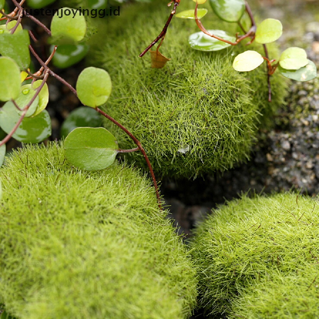 Batu Lumut Rumput Buatan Mini Untuk Taman