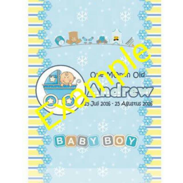 

Label Delfi Top Mini 9gr Baby Boy