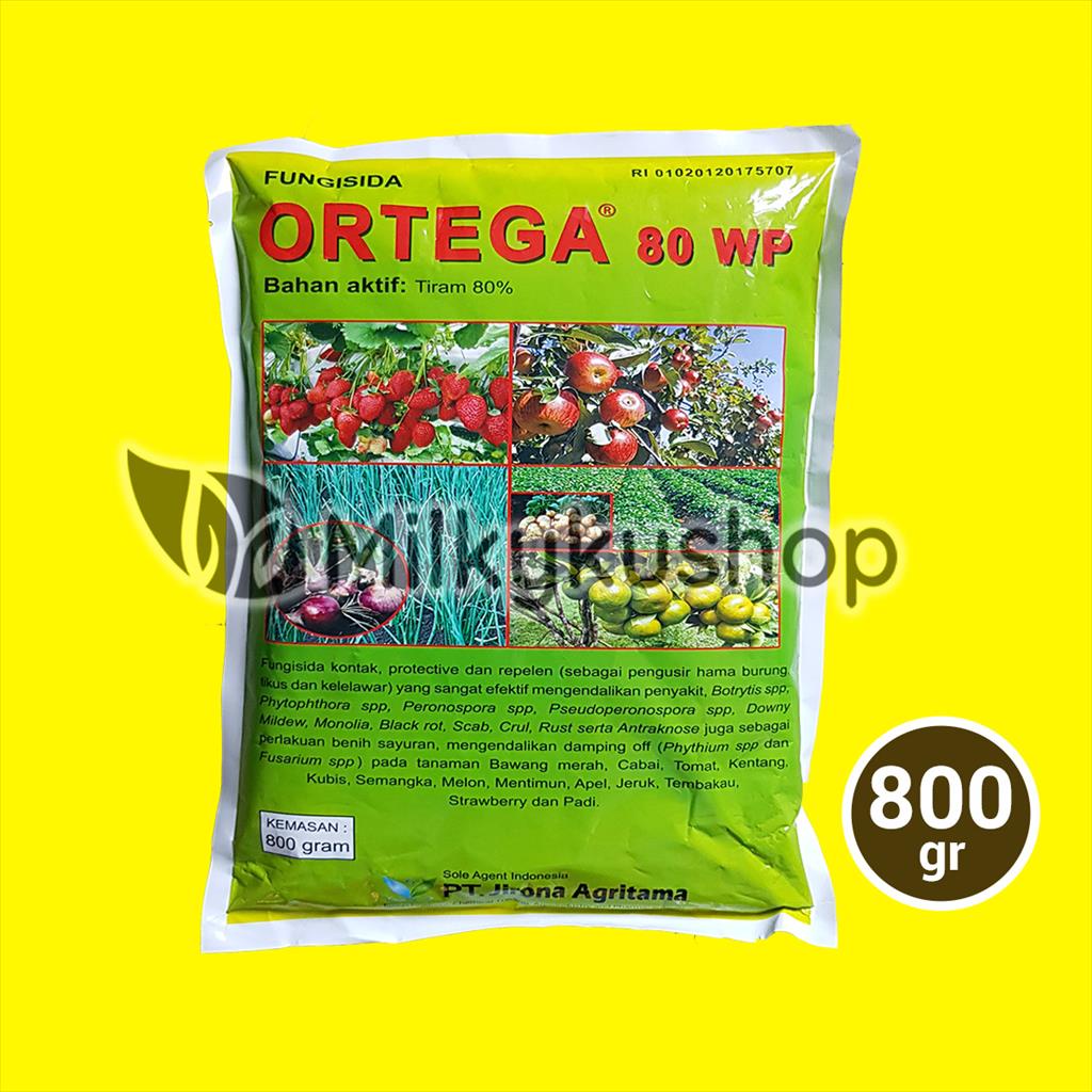 ORTEGA 80 WP 800 GRAM FUNGISIDA