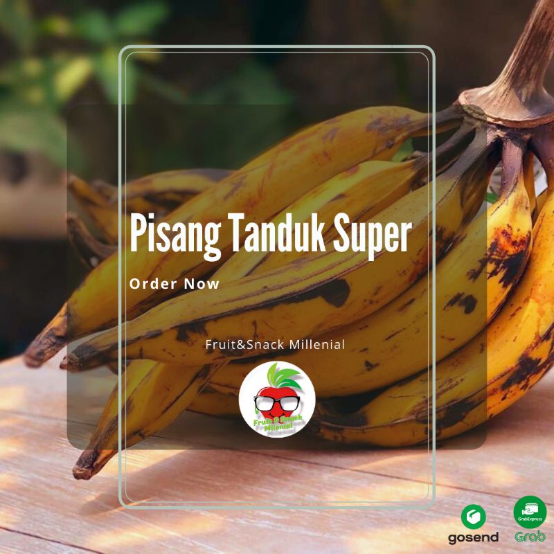 

Pisang Tanduk Super 2 buah Jumbo