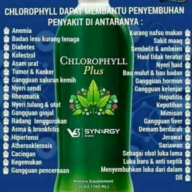 Chlorophyll Plus Synergy