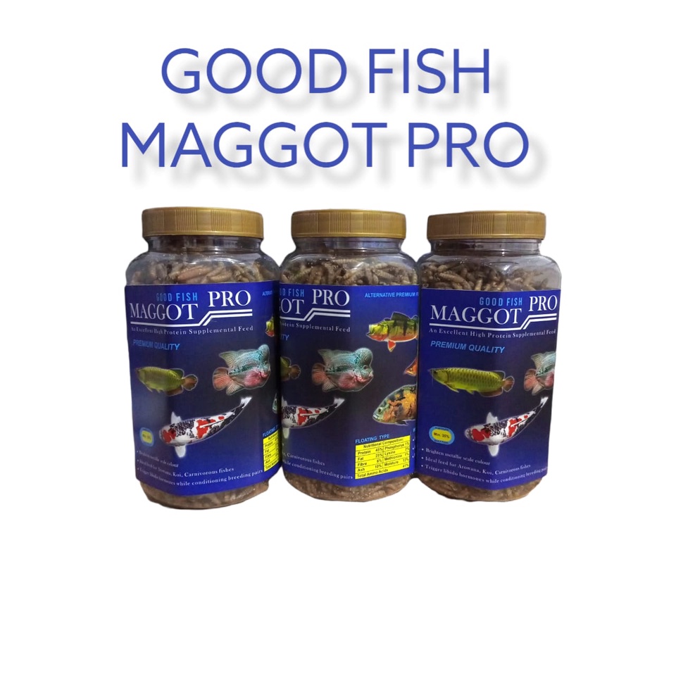 GOODFISH MAGGOT PRO 130 gram PAKAN IKAN PREDATOR chana lohan arwana