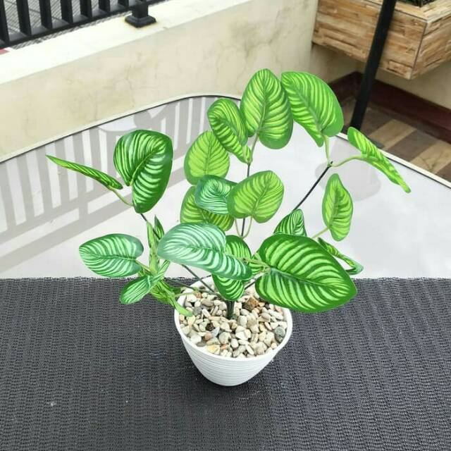 TANAMAN BUNGA PLASTIK ARTIFICIAL DAUN MONSTERA KUPING GAJAH HIJAU POT