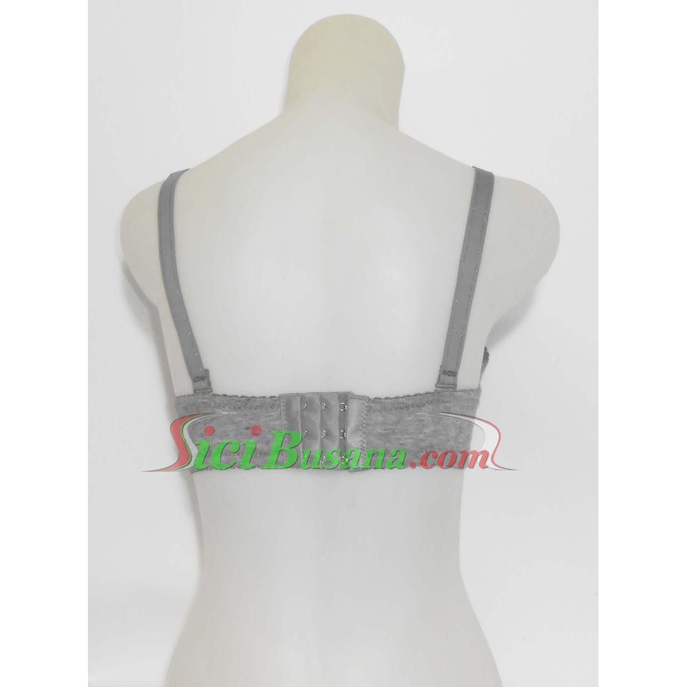 BH LYDYLY (BH ZQ 220)