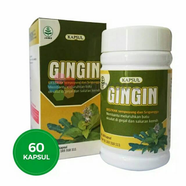 GINGIN Isi 60 Kapsul Obat Herbal  Meluruhkan Batu Ginjal