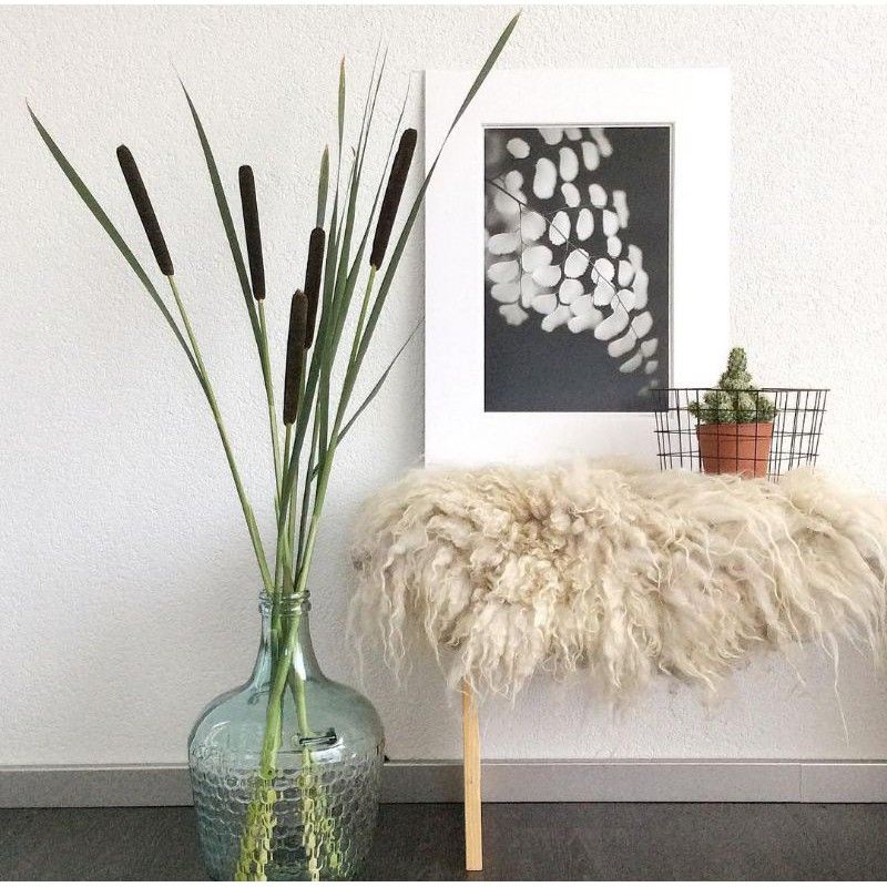 BUNGA KERING DRIED FLOWER TYPHA / BUNGA KERING CATTAIL | DAUN KERING | PAJANGAN DINDING | BUNGA KERI