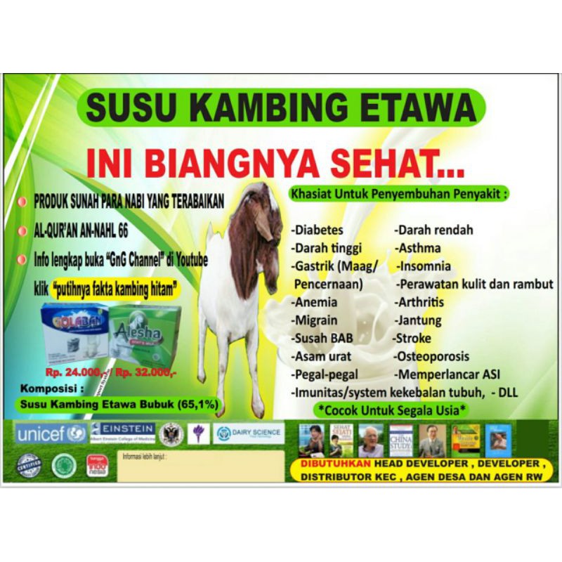 

susu kambing etawa