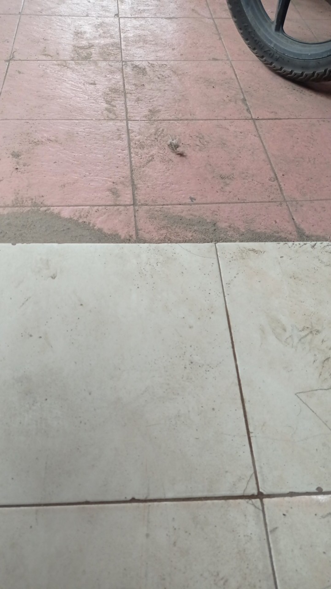 Benang Raja Blouse Wanita Tunik Wolfis Premium