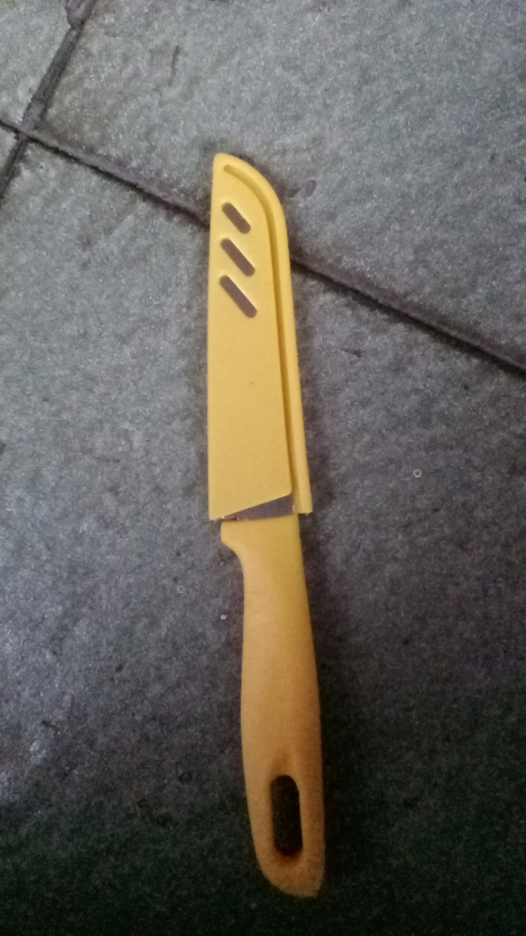 Pisau Kecil Dapur Dengan Pelindung Yzf62