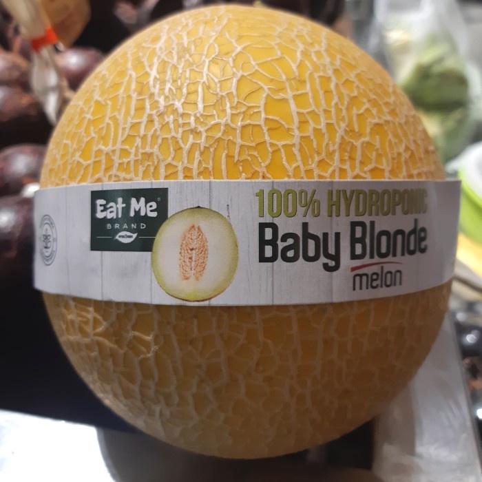 

Buah Melon Baby Blonde 1 Pcs