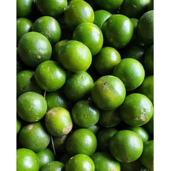 

Jeruk Peras. MyAp.FRESH_FRUITS