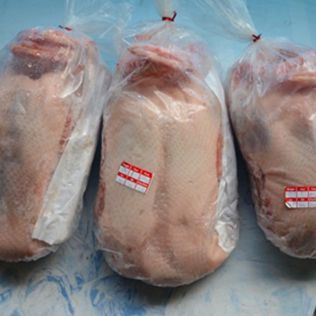 Bebek Peking 1,1 kg