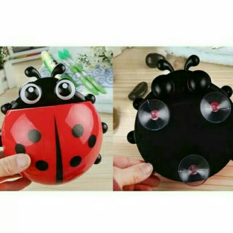 Kumbang totol Tempat sikat gigi