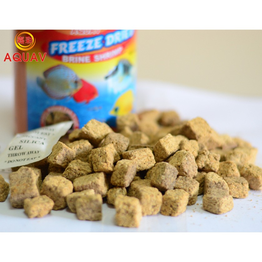 1000ml Brine Shrimp Freeze Dried Artemia Kering Pakan Ikan