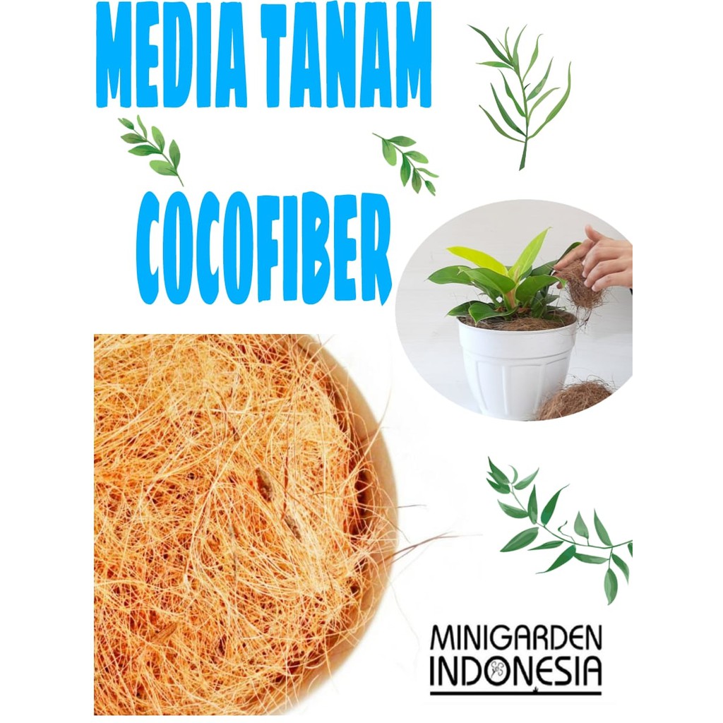 COCOFIBER 100 GRAM sabut serabut kelapa bersih kering media tanam anggrek orchid tanaman hias