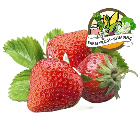 

Strawberry jumbo 150grm