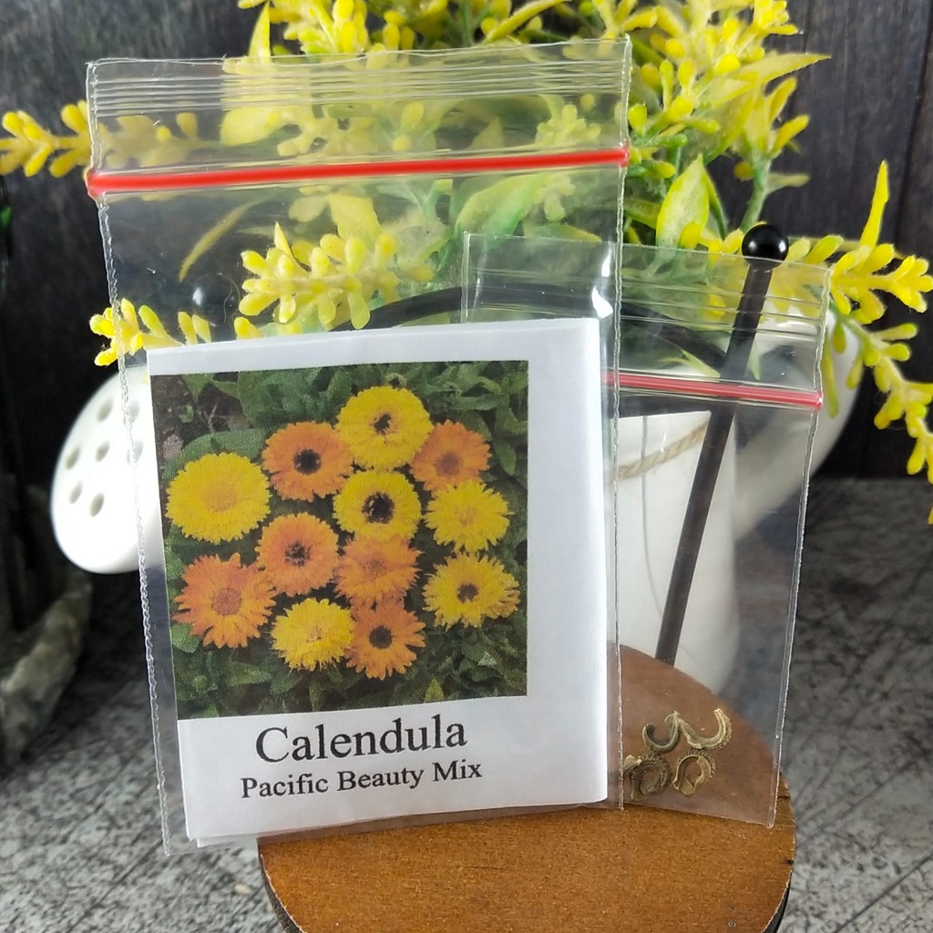 2 Seeds - Calendula Pacific Beauty Biji Bunga - SR0214