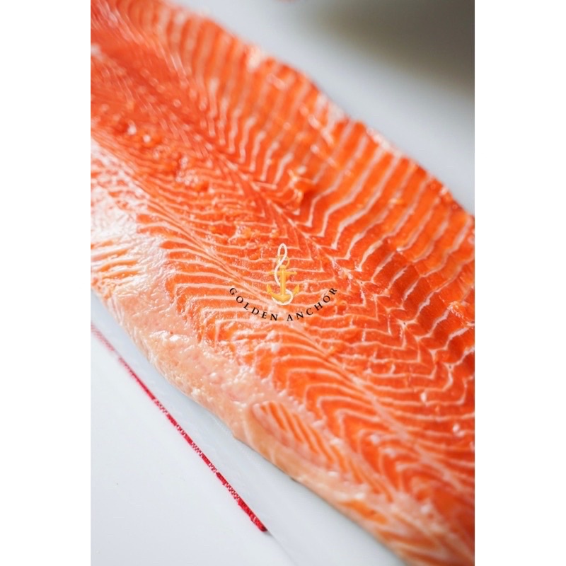 Ikan Salmon Whole Fillet Utuh Fresh Sashimi Grade