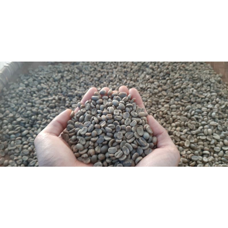 

kopii