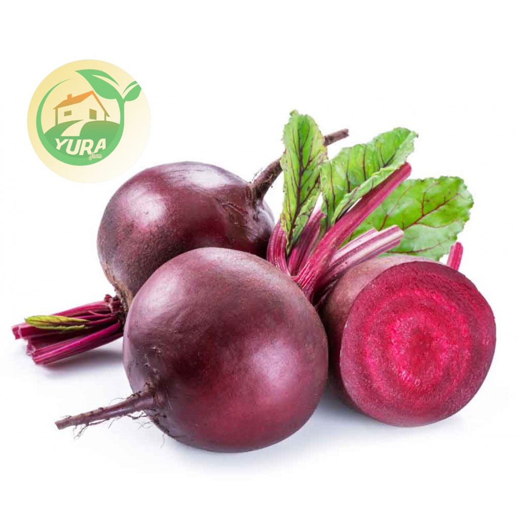 

BEET ROOT Organik 100% Sayur Segar Organic