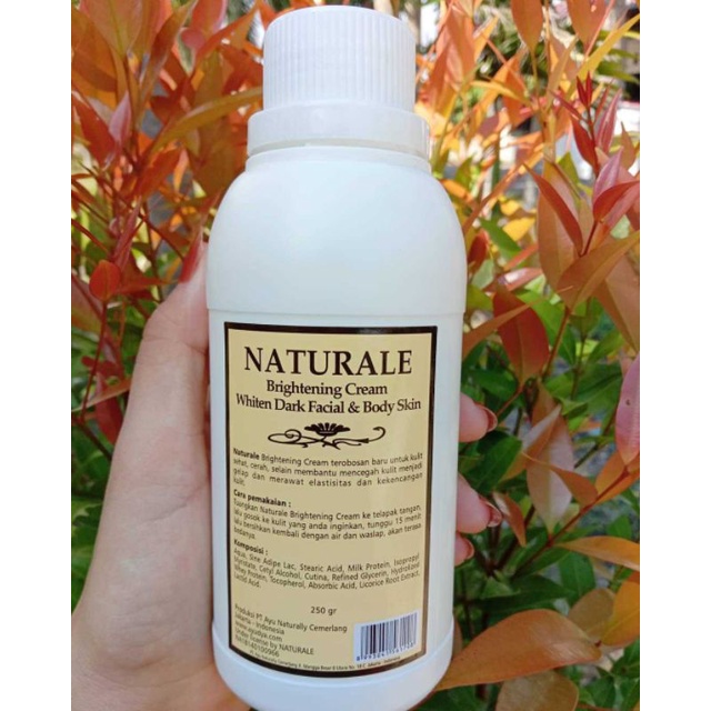 Naturale BLeaching Badan 250 gram