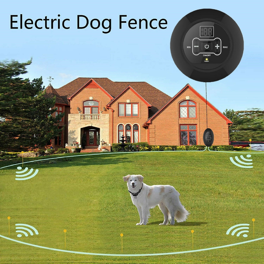 dog shock fence wireless