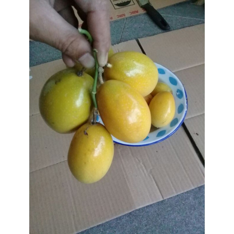 

Promo buah Markisa saprola segar 1kg