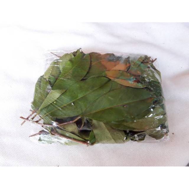 

Daun Salam