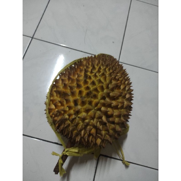 

fhoto durian