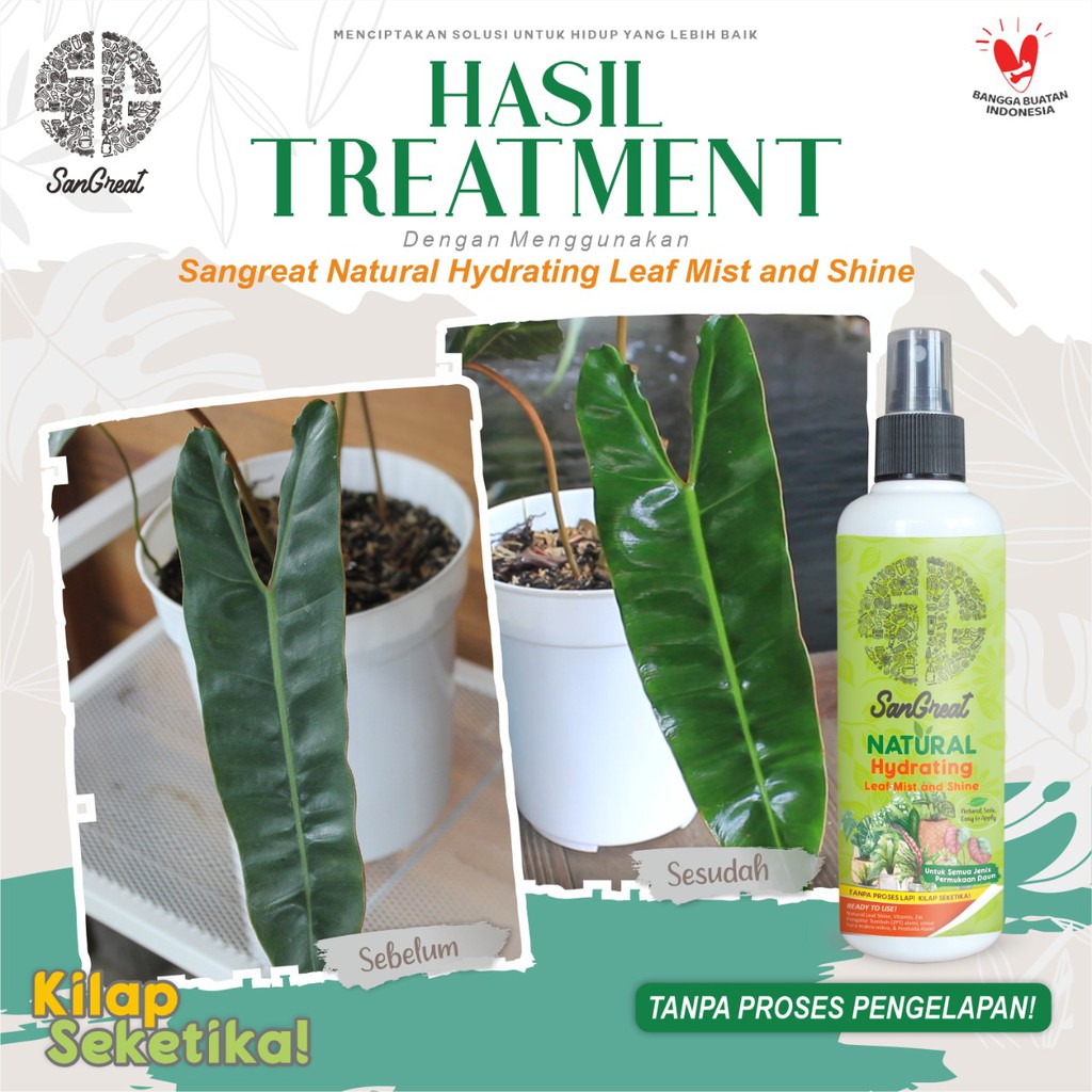 Semir kilap daun Water Base + vitamin Tanpa Pengelapan SanGreat Hydrating Leaf Mist &amp; shine 250 ml