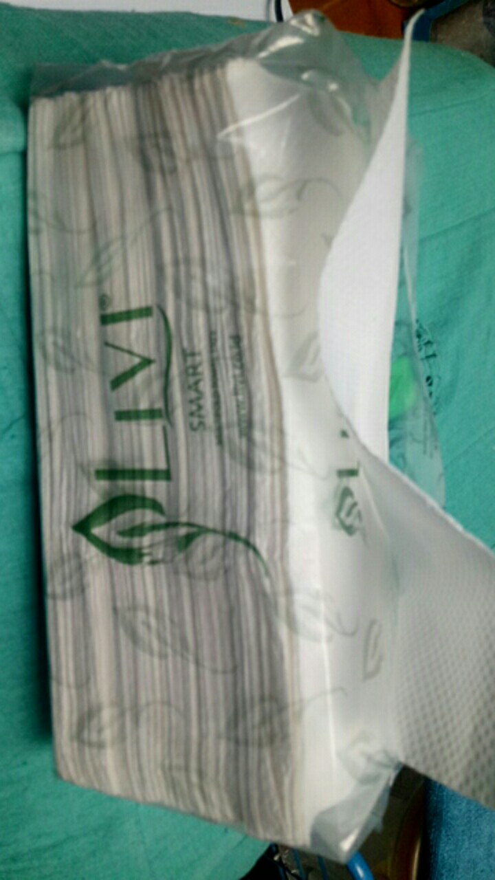 Tisiu Livi Hand Towel / Tisiu Paper / Tisiu Wastafel