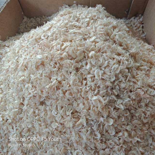 

rebon super,non formalin kualitas bagus,
