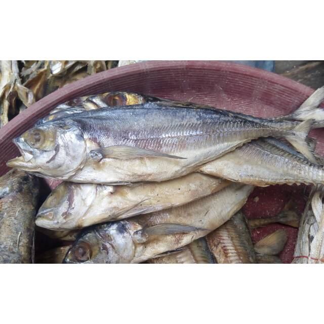 

Ikan Asin Cincaru / Tegang Ekor Kuda ( Loong ) @ 500 Gram