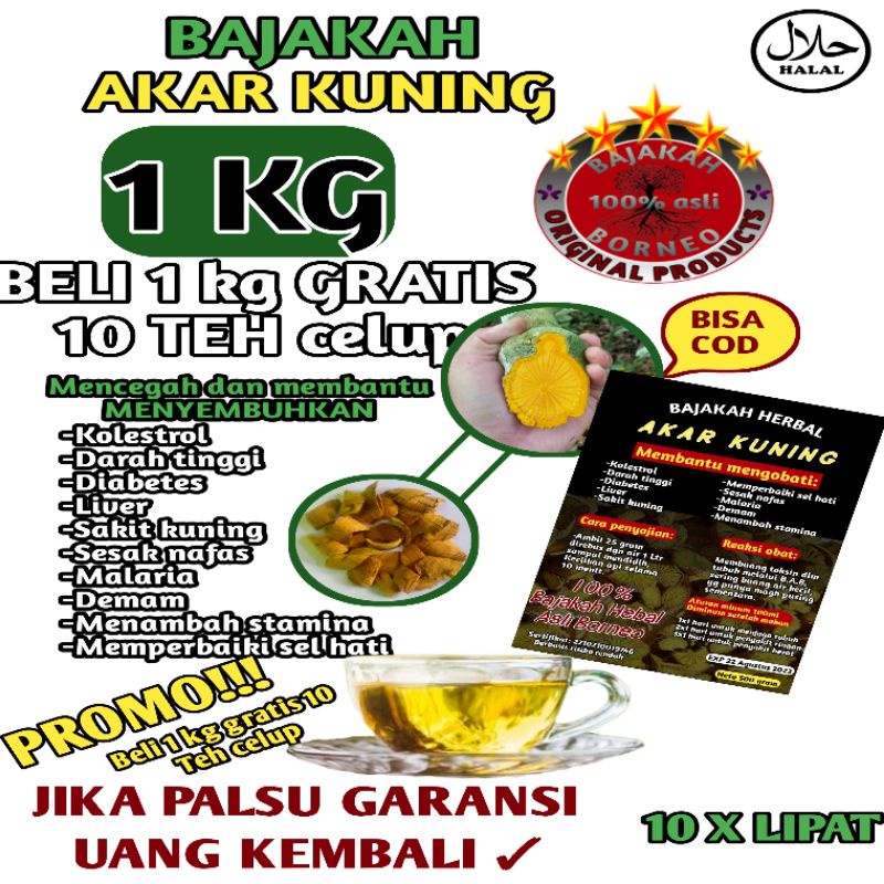 

Bajakah akar kuning