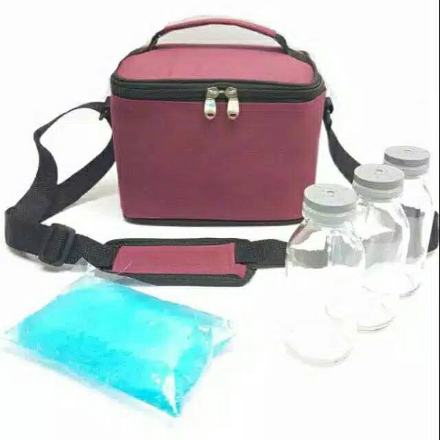 Cooler Bag Tas ASI mini FREE 3 botol ASI 1 Ice Gel TERMURAH BERKUALITAS T05 SB-05