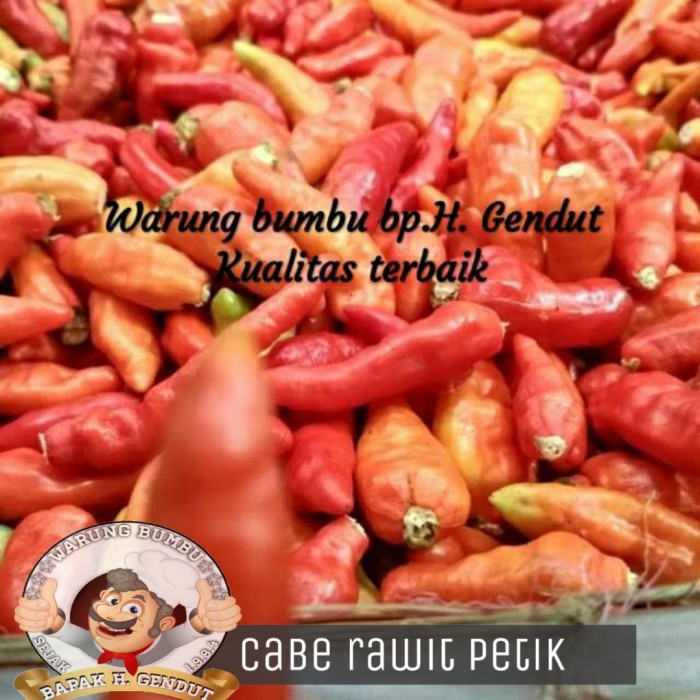 

Promo Spesial - Cabe Rawit Merah 1Kg Sudah Petik (Gratis Giling)