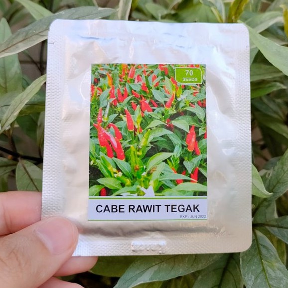 benih sayur - benih buah - benih sayuran - benih tomat - benih cabe - benih selada - benih bayam - benih terong - benih pakchoy -RS-Rawit tegak