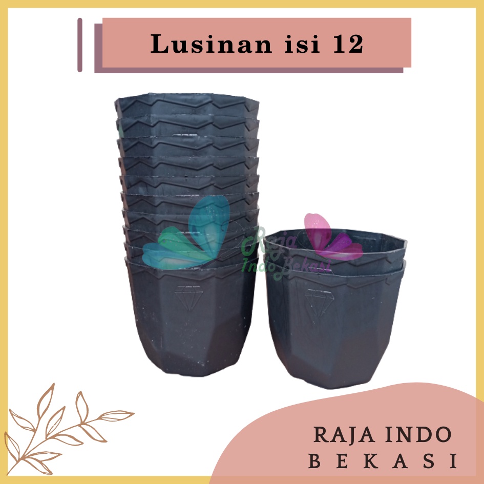 Lusinan Isi 12 Pcs Pot Permata 8CM Hitam Pot 8 Cm Putih Pot Plastik Kaktus Mini Lucu Murah Grosir