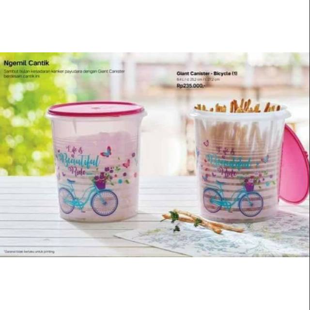 Giant canister - Bicycle (1)