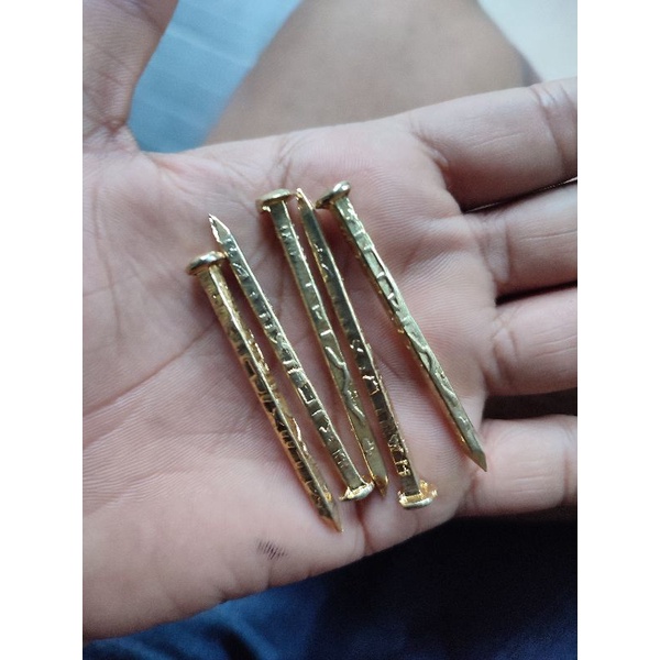 Paku Emas Rajahan 12cm  Kecil Sedang Jumbo