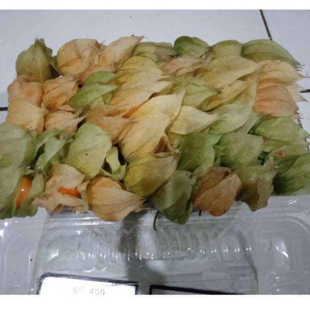 

buah ciplukan-goldenberry-cecendet murah 250gr