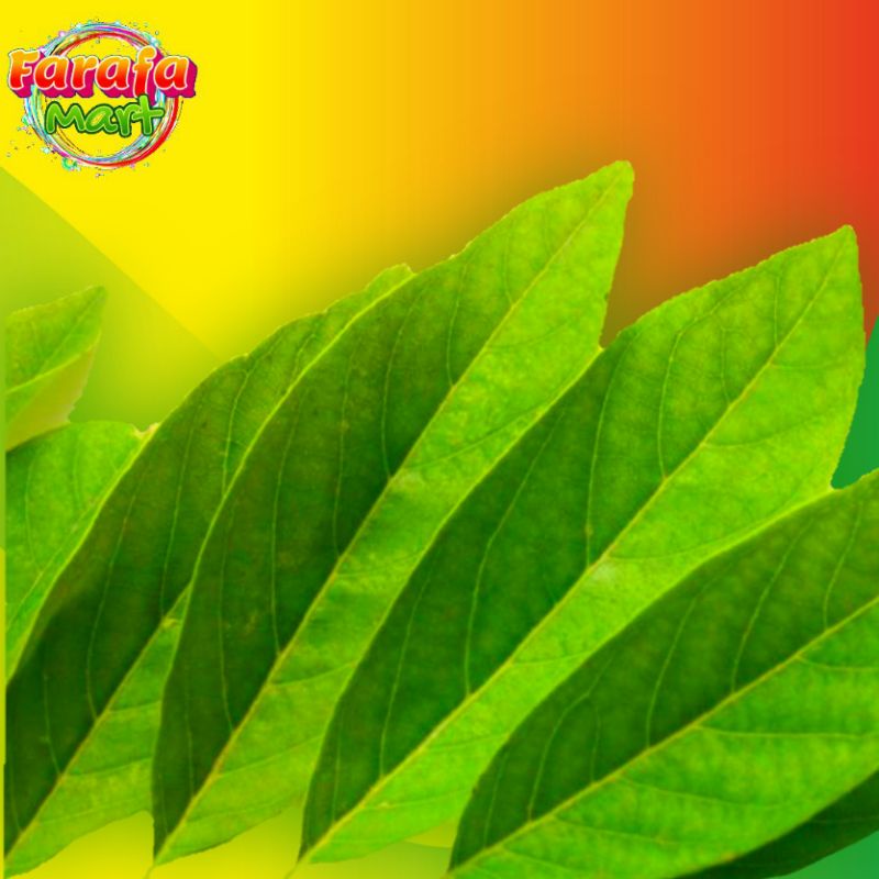 

daun sirsak perlembar