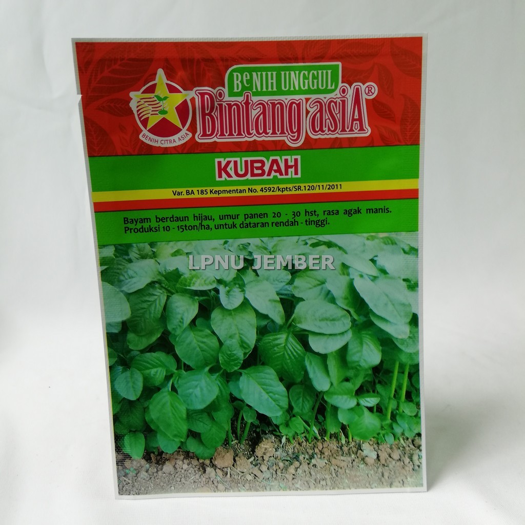 

Terbaik Bayam Kubah 500 gram Bintang Asia