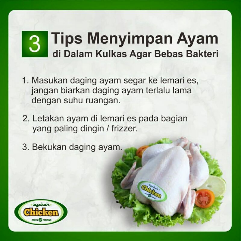 BERKAH Chicken Ayam Organik 1 Ekor Halal