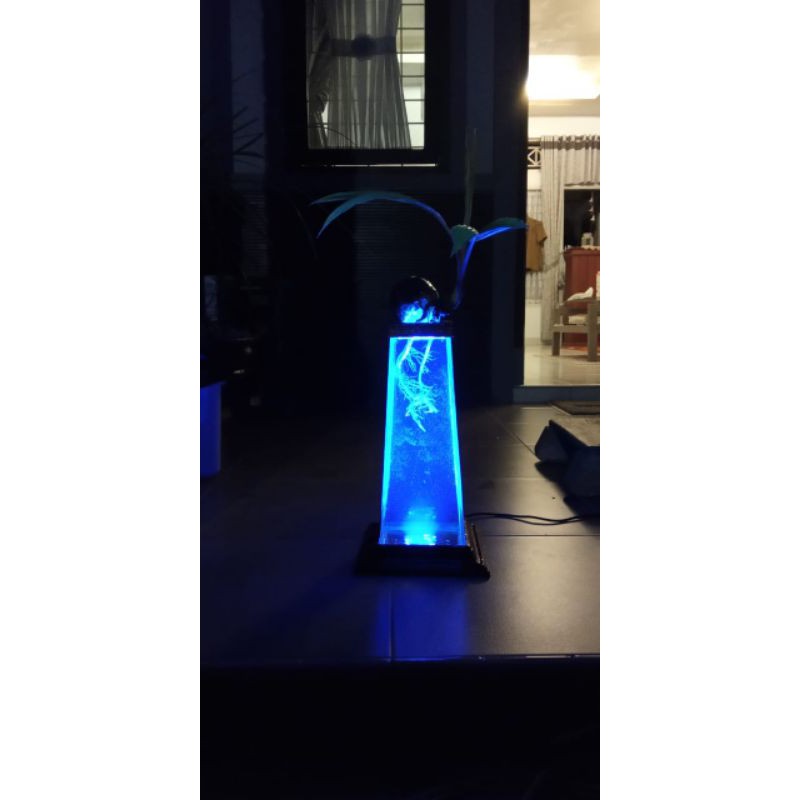 aquarium bonsai kelapa