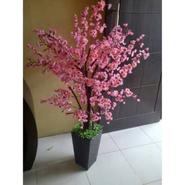 

Pohon hias Sakura