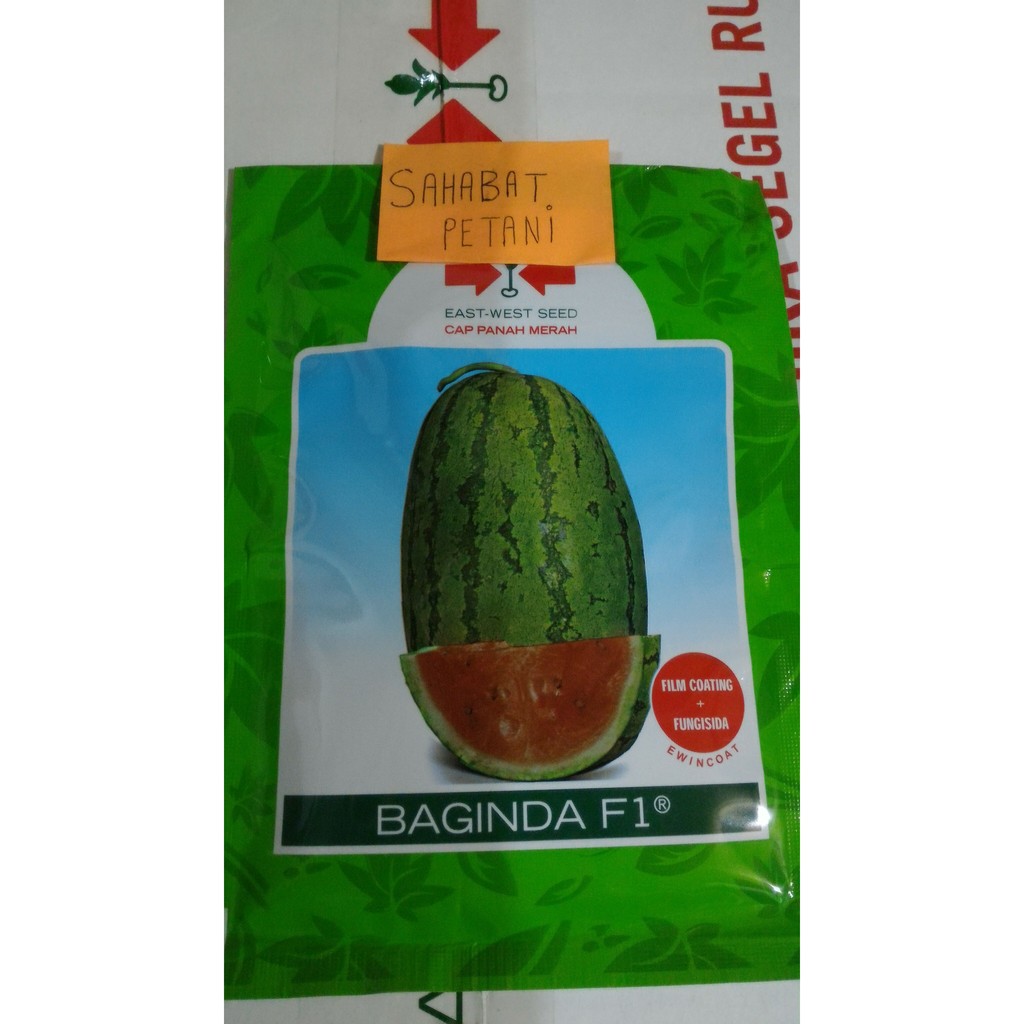 Benih Semangka Baginda 380 Butir
