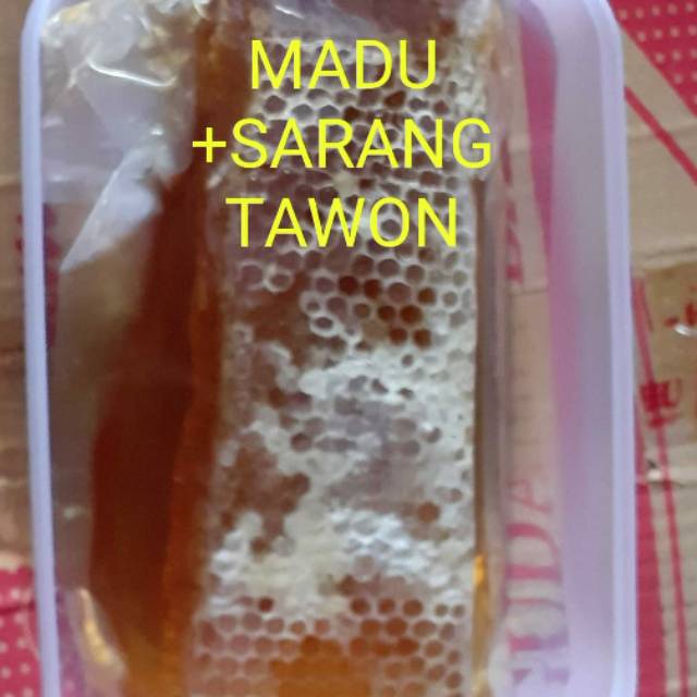 

Sarang tawon asli semarang 500 gr